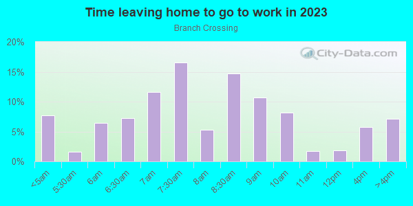 Time Leaving Home for Work in Branch Crossing in Dallas neighborhood in TX