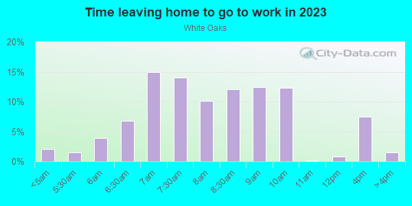 Time Leaving Home for Work in White Oaks in Alexandria neighborhood in VA