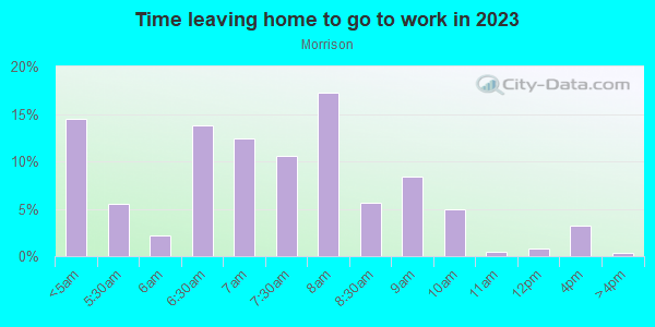 Time Leaving Home for Work in Morrison in Newport News neighborhood in VA