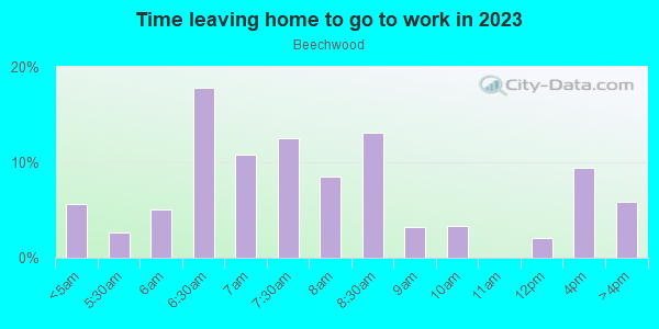 Time Leaving Home for Work in Beechwood in Newport News neighborhood in VA