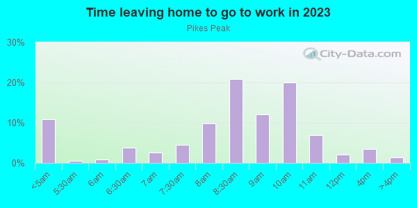 Time Leaving Home for Work in Pikes Peak in Bellevue neighborhood in WA