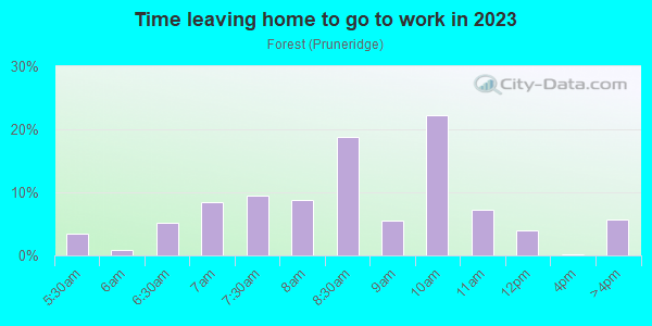 Time Leaving Home for Work in Forest in San Jose neighborhood in CA