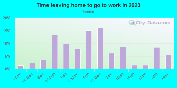 Time Leaving Home for Work in Tamien in San Jose neighborhood in CA