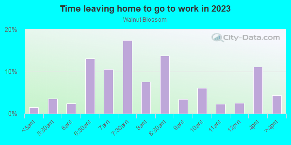 Time Leaving Home for Work in Walnut Blossom in San Jose neighborhood in CA