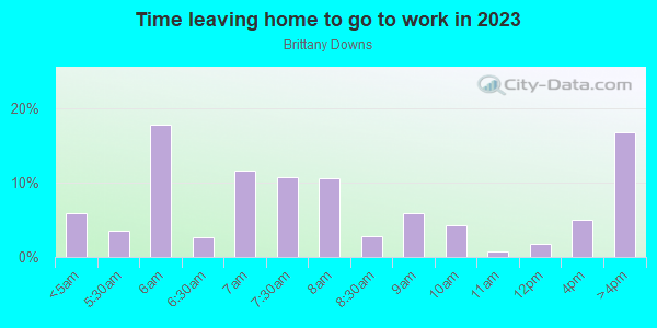 Time Leaving Home for Work in Brittany Downs in Denver neighborhood in CO