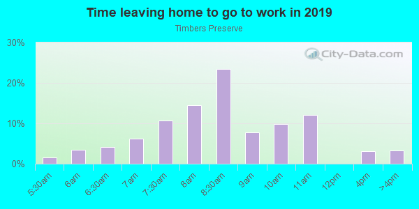 Time Leaving Home for Work in Timbers Preserve in Steamboat Springs neighborhood in CO