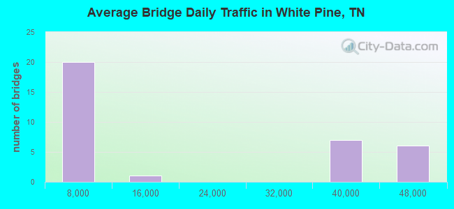 Average Bridge Daily Traffic in White Pine, TN