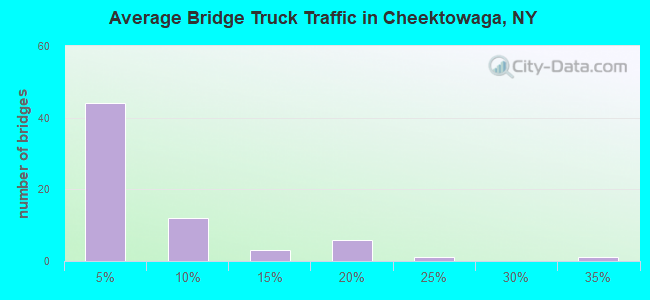 Average Bridge Truck Traffic in Cheektowaga, NY