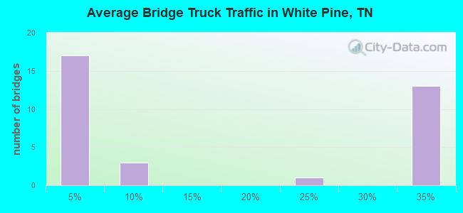 Average Bridge Truck Traffic in White Pine, TN