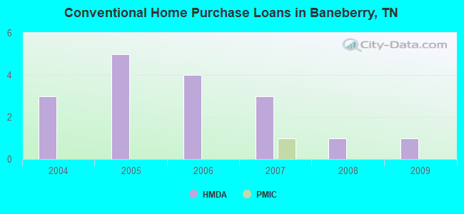 Conventional Home Purchase Loans in Baneberry, TN