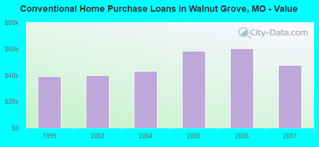 Conventional Home Purchase Loans in Walnut Grove, MO - Value