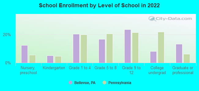 School Enrollment by Level of School in 2019