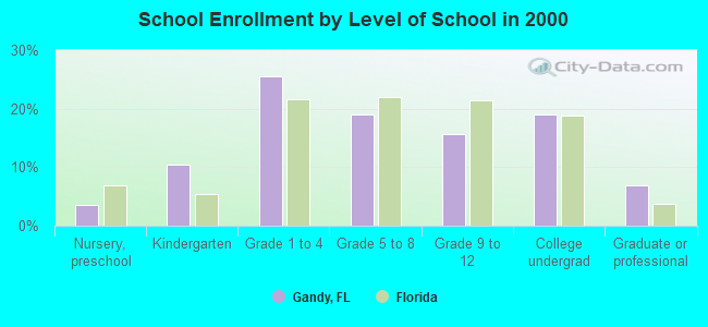 School Enrollment by Level of School in 2000
