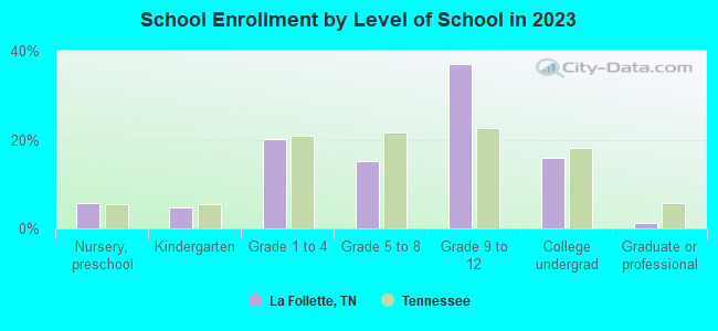 School Enrollment by Level of School in 2022