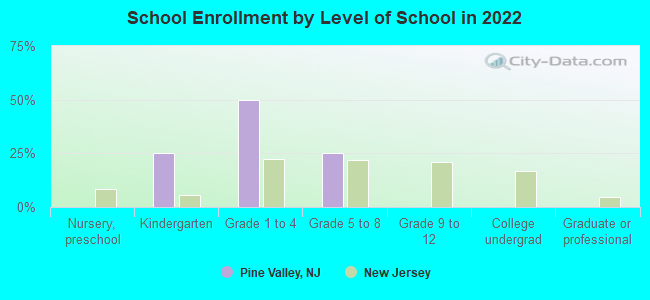 Pine Valley, New Jersey (NJ 08021) profile: population ...