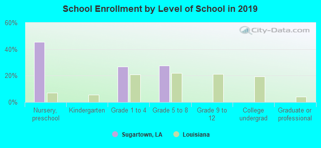 School Enrollment by Level of School in 2019