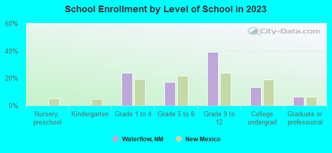 School Enrollment by Level of School in 2022