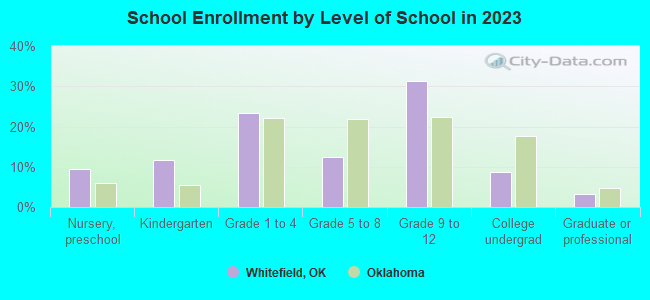 School Enrollment by Level of School in 2022