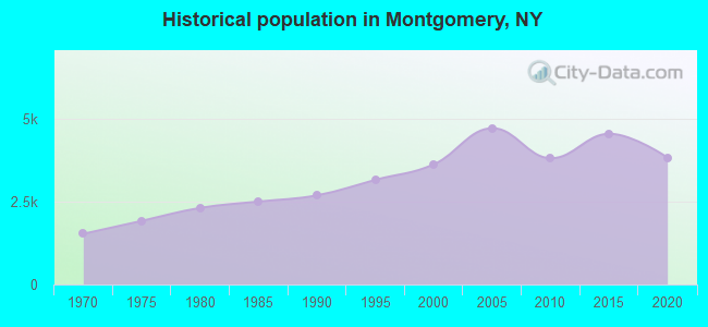 Historical population in Montgomery, NY