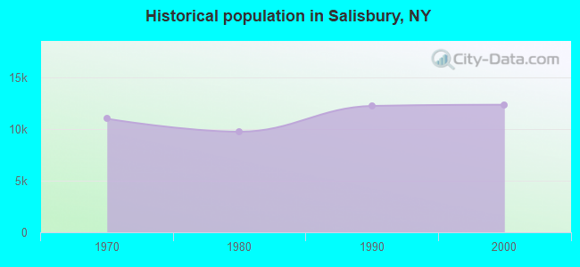 Historical population in Salisbury, NY