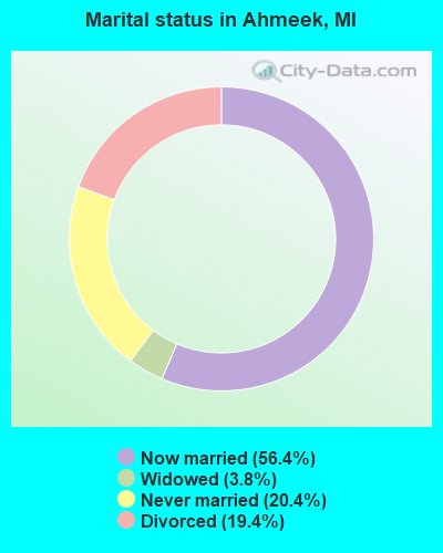 Marital status in Ahmeek, MI