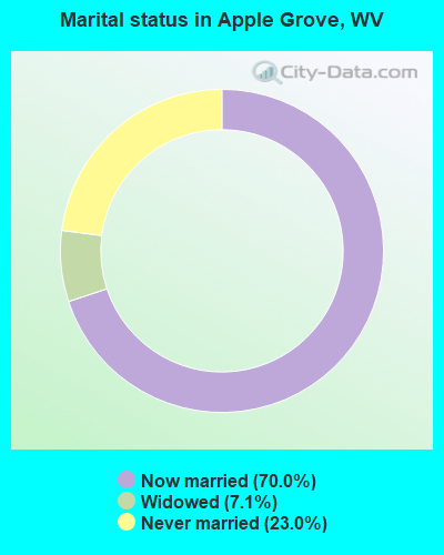 Marital status in Apple Grove, WV