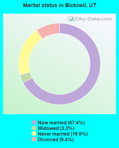 Marital status in Bicknell, UT
