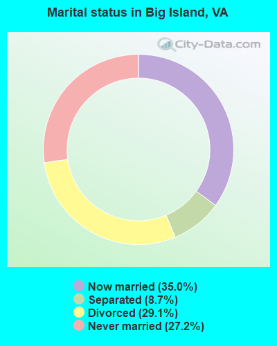 Marital status in Big Island, VA