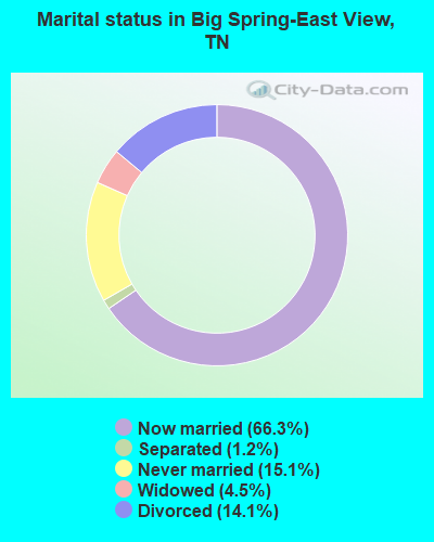 Marital status in Big Spring-East View, TN