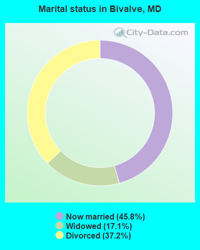 Marital status in Bivalve, MD