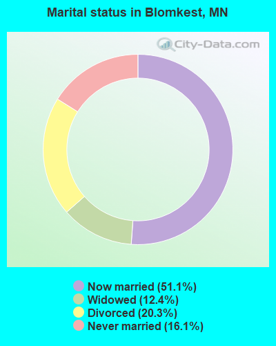 Marital status in Blomkest, MN