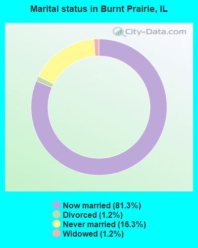 Marital status in Burnt Prairie, IL