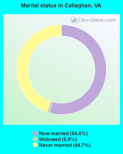 Marital status in Callaghan, VA