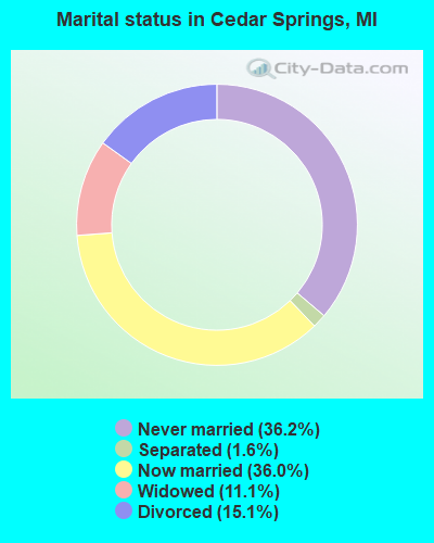 Marital status in Cedar Springs, MI