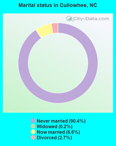 Marital status in Cullowhee, NC