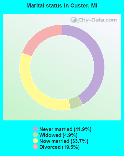 Marital status in Custer, MI