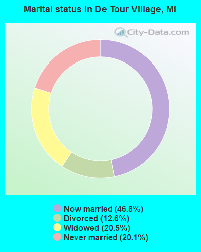 Marital status in De Tour Village, MI