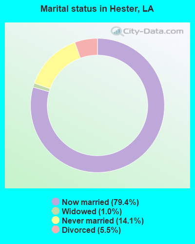 Marital status in Hester, LA
