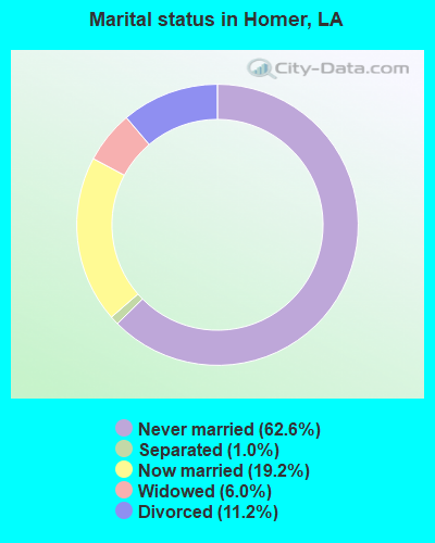 Marital status in Homer, LA