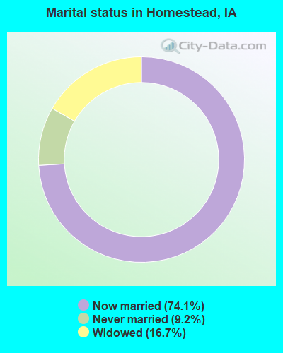 Marital status in Homestead, IA