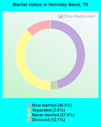Marital status in Hornsby Bend, TX