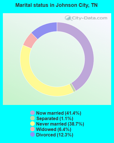 Marital status in Johnson City, TN