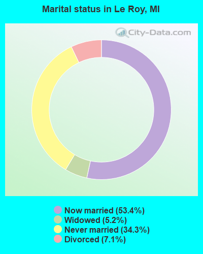 Marital status in Le Roy, MI