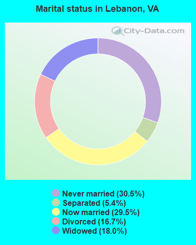 Marital status in Lebanon, VA