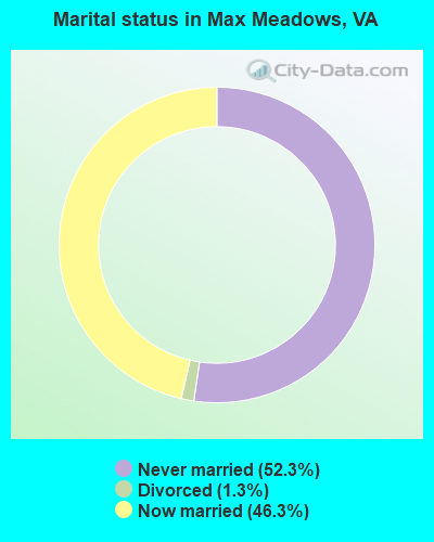Marital status in Max Meadows, VA