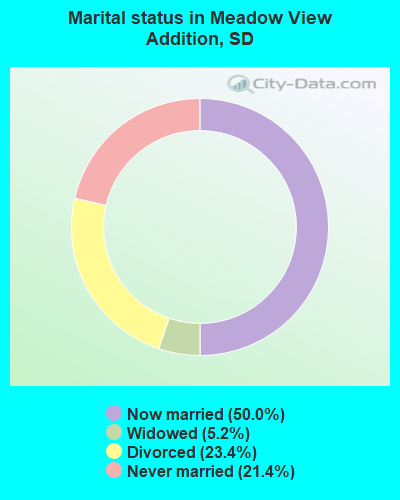Marital status in Meadow View Addition, SD