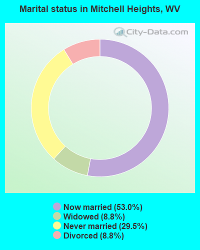 Marital status in Mitchell Heights, WV