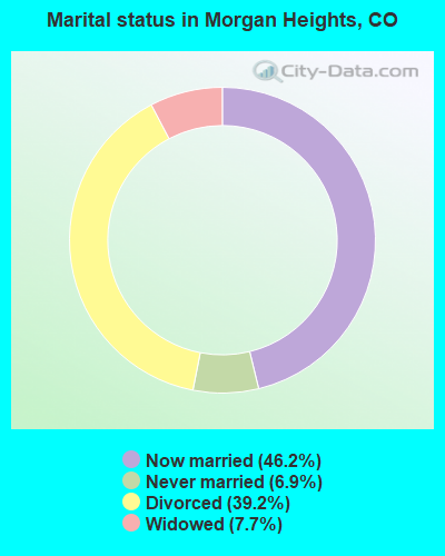 Marital status in Morgan Heights, CO