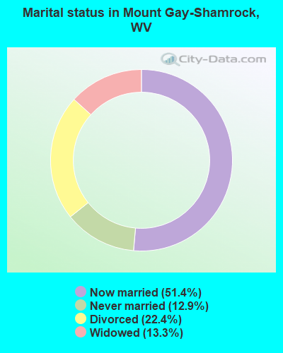 Marital status in Mount Gay-Shamrock, WV