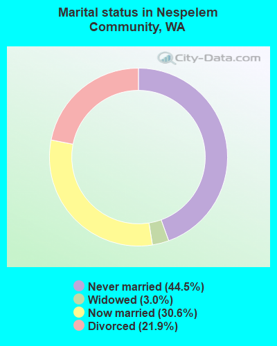 Marital status in Nespelem Community, WA